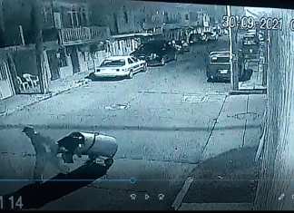 Entambado tirado en basurero de calle Honduras muestra fragilidad en la seguridad de Xalapa (Video)