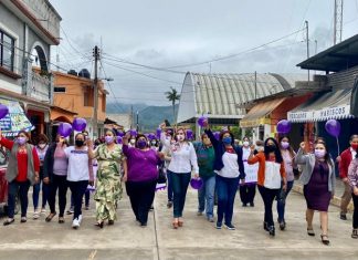La marginación de la mujer indígena alcanza a 1.8 millones de veracruzanas:Yolanda Lagunes
