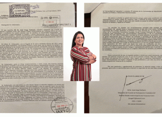 Cínica secretaria técnica de SEA omite la ley y a los integrantes del Comité de Participación Ciudadana