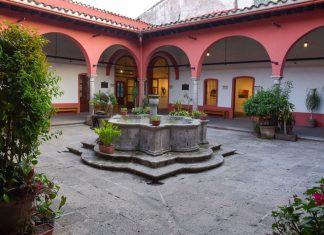 Vive una semana creativa con los talleres gratuitos del Ayuntamiento de Xalapa