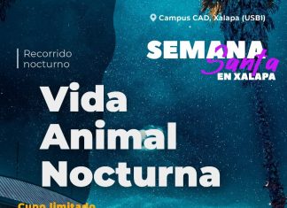 Naturaleza y vida animal nocturna en esta temporada de Semana Santa