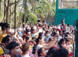 Se rompió récord de asistencia al Parque Zoológico “Miguel Ángel de Quevedo” (Viveros)