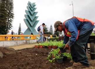 Trabaja Ayuntamiento de Xalapa en favor del Medio Ambiente