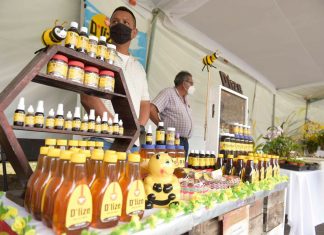 Inicia Expo Flor y Miel Xalapa 2022