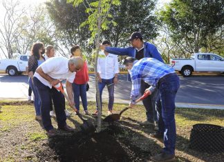 Inicia campaña de reforestación y arborización urbana 2022