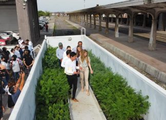 El “Vagón Verde, Tren de la Ecología” fortalece los esfuerzos de reforestación inteligente de Veracruz: Paty Lobeira de Yunes