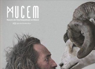 Presenta Ayuntamiento Muestra de Cine Escandinavo en México, tour 2022