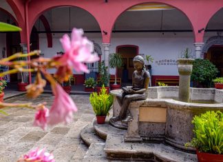 Danza, música, conferencias y talleres, este fin de semana en Xalapa