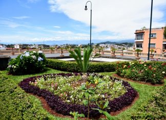 Cuidar la imagen urbana de los parques es responsabilidad de todos