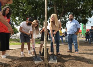 Con mantenimiento, siembra de árboles y jardinería embellecemos las entradas de nuestra ciudad: Paty Lobeira de Yunes