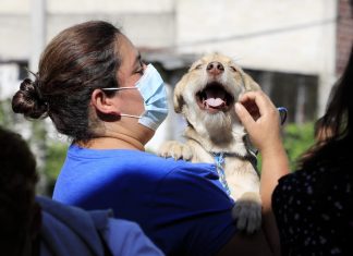 Ciudadanía xalapeña demuestra cultura del cuidado a los animales