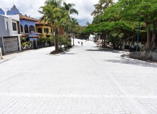 Avanza rehabilitación integral de Paseo de las Palmas