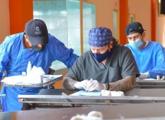 Realiza Ayuntamiento jornada de esterilización canina y felina en El Castillo