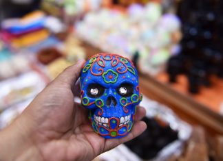 Durante festividades por el Día de Muertos, Xalapa fortalece el arraigo a nuestras tradiciones