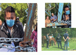 SOS: Lienzo Charro “La Herradura” secuestrado por ladrones de terrenos en Xalapa