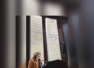 Presenta Maryjose Gamboa Iniciativa para proteger el derecho a la información y la libertad de expresión