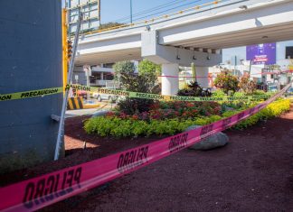 Atiende PC afectación en camellón de la avenida Murillo Vidal
