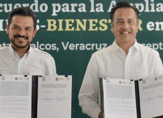 Sin títulos profesionales y usurpación de profesiones en el OOAD IMSS Regional Veracruz Norte