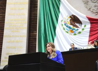 MORENA aprueba iniciativas para destrozar instituciones: Maryjose Gamboa