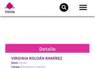 TEV pone a regidora de Morena, Virginia Roldán, cuatro meses en el Registro Nacional y Estatal de Personas Sancionadas en materia de Violencia Política contra las Mujeres en razón de Género