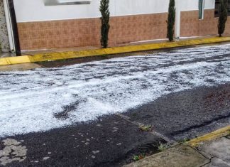 Xalapa, sin daños mayores por granizada