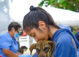 Realiza Ayuntamiento jornada de esterilización canina y felina en la colonia Zaragoza
