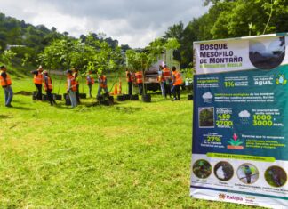 Inicia Ayuntamiento Programa de Reforestación y Arborización 2023