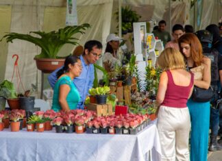 Los mejores productos de la región en la Expo Flor y Miel Xalapa 2023