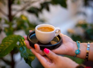 Invita Ayuntamiento al Tour de Barras, “Xalapa, Café y Aroma”