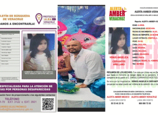 Alerta Amber, Protocolo Alba, Sustracción de menores y no se localiza a la menor Venus Angélica Cervantes Arellano