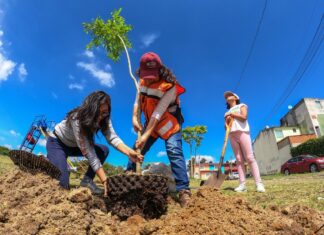Continúan trabajos de limpieza y reforestación en áreas verdes de Xalapa
