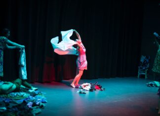 Con Festival Internacional Primate, Xalapa disfrutará del ritmo y pasión de las artes escénicas