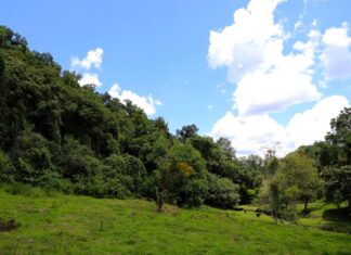 Se agregan al patrimonio municipal 120 mil metros cuadrados de reserva natural protegida