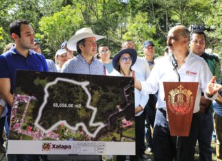 Xalapa, en favor del desarrollo sustentable
