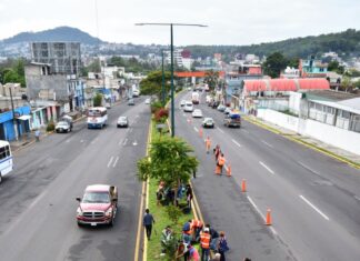Siembra Ayuntamiento más de 350 árboles en la avenida Lázaro Cárdenas