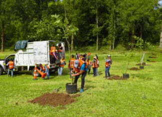 Jornada de reforestación, el 5 de agosto, en Xalapa