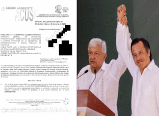 Verdadero responsable del proyecto Urban Center-Corona en Xalapa es el Gobierno de López Obrador