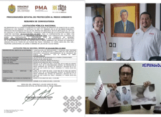 Nuevo negocio del procurador de Medio Ambiente en la ampliación de $300 MDP en el Aquarium de Veracruz