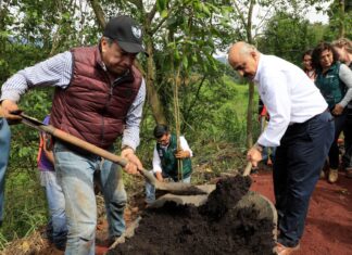 Realizan Ayuntamiento y Gobierno del Estado jornada de reforestación