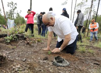 Asiste Ricardo Ahued a jornada de reforestación