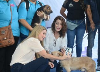 Asiste Paty Lobeira de Yunes a la “Expo Adopta Virtual”