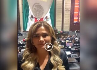 “Bartlett comparecerá ante el pleno, le presentaremos todas las quejas por el pésimo servicio de CFE”: Maryjose Gamboa