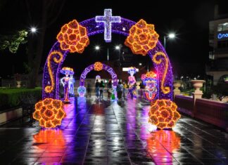 Xalapa se ilumina de Día de Muertos