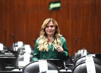 Estado de Veracruz, en los primeros 5 lugares en materia de incidencia delictiva: Diputada Maryjose Gamboa