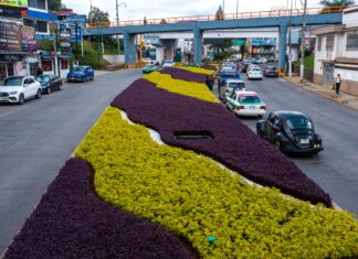 Trabaja Medio Ambiente en mejoramiento del paisaje urbano