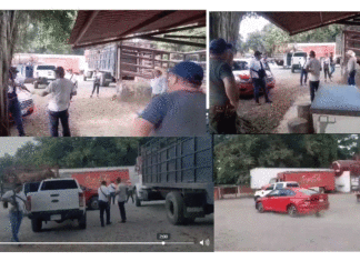 Policías ministeriales de FGE en Chiapas ejecutan a ganadero (Advertencia:Videos fuertes)