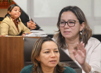 Abuso de autoridad en la CGE de Veracruz al omitir alegatos de defensa e imponen sanciones absurdas e ilegales