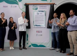 Boca del Río, primer municipio del país con el proyecto “Sembrando Ciudades”, destaca Alcalde JM Unánue