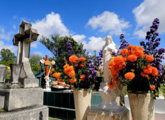 Realizará Ayuntamiento operativo de comercio por Día de Muertos