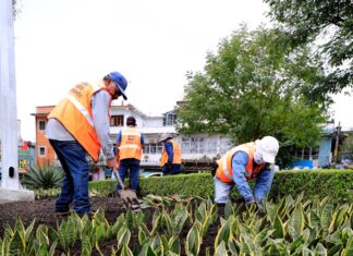 Realiza Ayuntamiento mantenimiento permanente de las áreas verdes